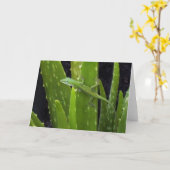 Anole Eidechse auf Aloe-Pflanze Karte (Gelbe Blume)