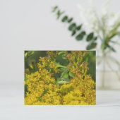 Anole in Goldenrod Postcard Postkarte (Stehend Vorderseite)
