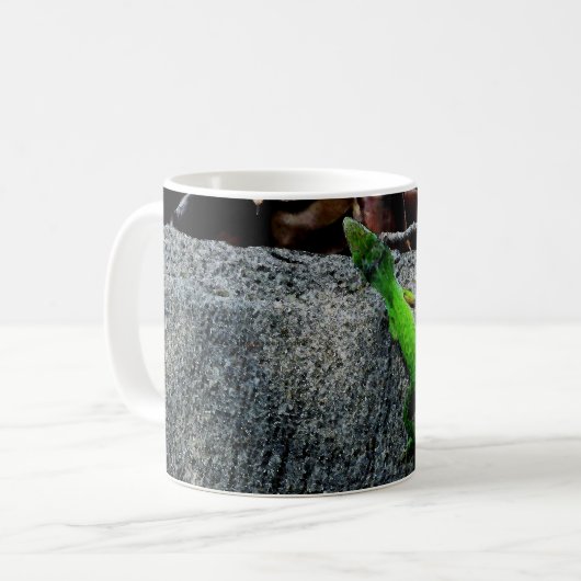 Anole Lizard 6704 Kaffeetasse (Vorderseite Links)
