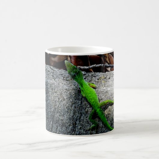 Anole Lizard 6704 Kaffeetasse (Mittel)