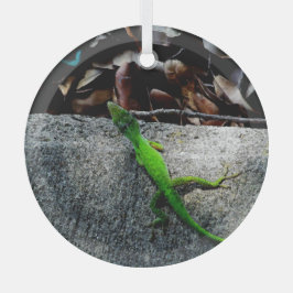 Anole Lizard 6704 Ornament Aus Glas
