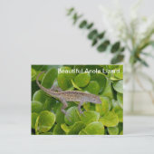 Anole Lizard in Florida Postcard Postkarte (Stehend Vorderseite)