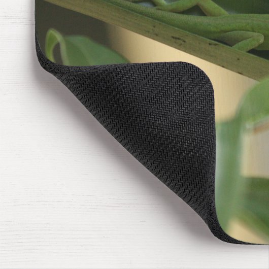 Anole Lizard Mousepad (Ecke)