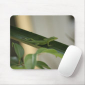 Anole Lizard Mousepad (Mit Mouse)