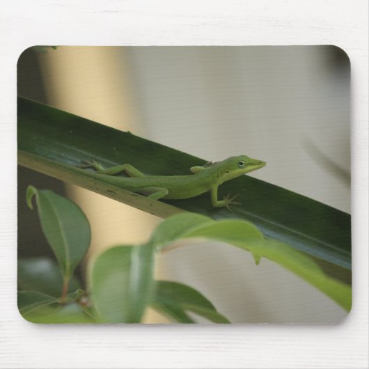 Anole Lizard Mousepad (Vorne)