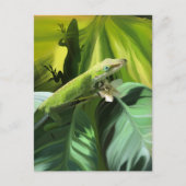 Anole Lizard Postkarte (Vorderseite)