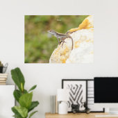 Anole Lizard Rock Poster oder Print (Heimbüro)