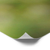 Anole Lizard Rock Poster oder Print (Ecke)