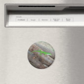Anole Magnet (In Situ (Geschirrspüler))