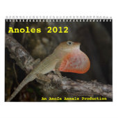 Anoles 2012 kalender (Titelbild)