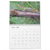 Anoles 2012 kalender (Mär 2027)