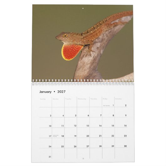 Anoles 2012 kalender (Jan 2027)