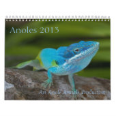 Anoles 2013 Kalender (Titelbild)