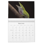 Anoles 2013 Kalender (Mär 2026)