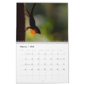 Anoles 2014 kalender (Feb 2026)