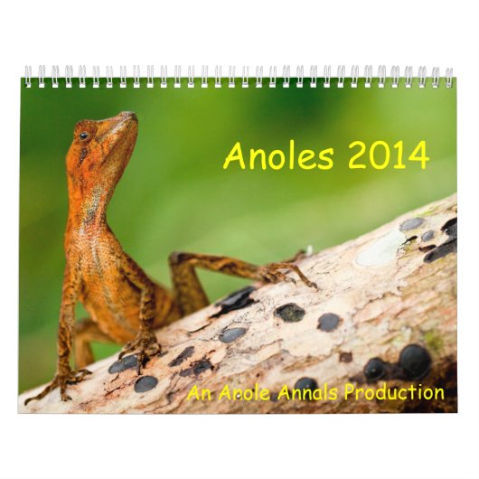 Anoles 2014 kalender (Titelbild)