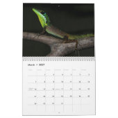 Anoles 2014 kalender (Mär 2027)