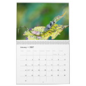 Anoles 2014 kalender (Jan 2027)