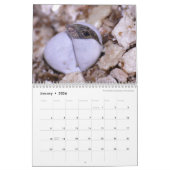 Anoles 2016 - Eine Anole Annalen-Produktion Kalender (Jan 2026)