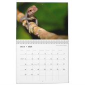 Anoles 2016 - Eine Anole Annalen-Produktion Kalender (Mär 2026)