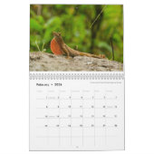 Anoles 2016 - Eine Anole Annalen-Produktion Kalender (Feb 2026)