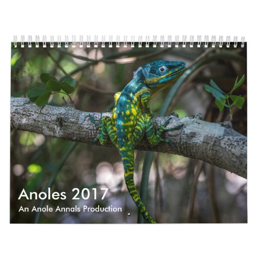 Anoles 2017 - Eine Anole Annalen-Produktion Kalender (Titelbild)