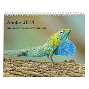 Anoles 2018 - Eine Anole Annalen-Produktion Kalender