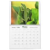 Anoles 2020 - Eine Anole Annals Produktion Kalender (Jan 2026)