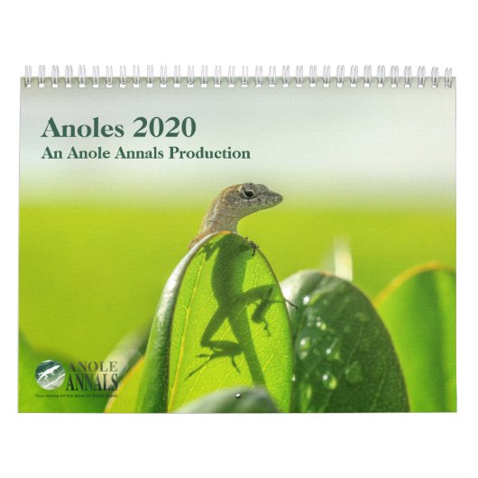 Anoles 2020 - Eine Anole Annals Produktion Kalender (Titelbild)