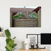 Anoles Gesicht aus Poster (Heimbüro)