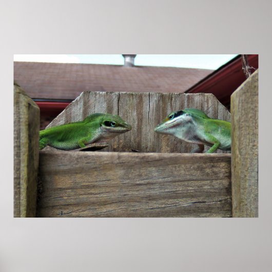 Anoles Gesicht aus Poster (Vorne)