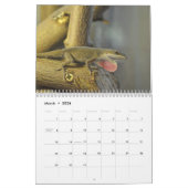 Anoles Lizard Kalender 2025 (Mär 2026)
