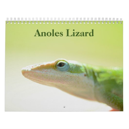 Anoles Lizard Kalender 2025 (Titelbild)
