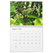 Anolis-Kalender 2027 Kalender (Feb 2027)