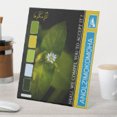 ANOLZIMOKOMOHA SOCKELSCHILD (In Situ)