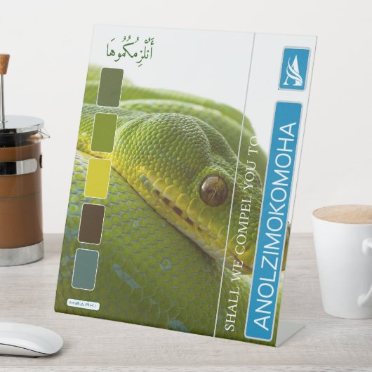 ANOLZIMOKOMOHA SOCKELSCHILD (In Situ)