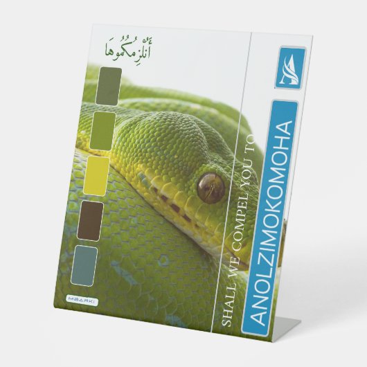 ANOLZIMOKOMOHA SOCKELSCHILD (Vorderseite)