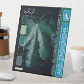 ANOLZIMOKOMOHA SOCKELSCHILD (In Situ)