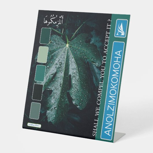 ANOLZIMOKOMOHA SOCKELSCHILD (Vorderseite)