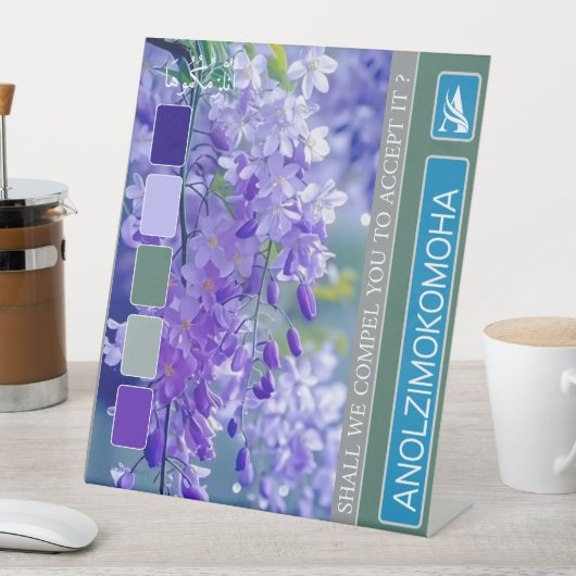 ANOLZIMOKOMOHA SOCKELSCHILD (In Situ)