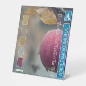 ANOLZIMOKOMOHA SOCKELSCHILD (Vorderseite)