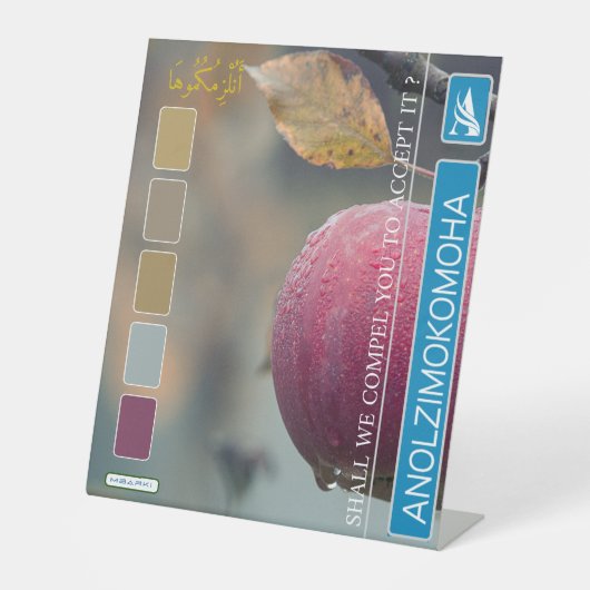 ANOLZIMOKOMOHA SOCKELSCHILD (Vorderseite)