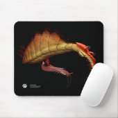 Anomalocaris Mousepad (Mit Mouse)