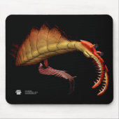Anomalocaris Mousepad (Vorne)