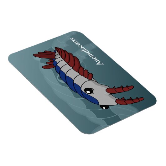 Anomalocaris - Prähistorisches Tier Magnet (Rechte Seite)