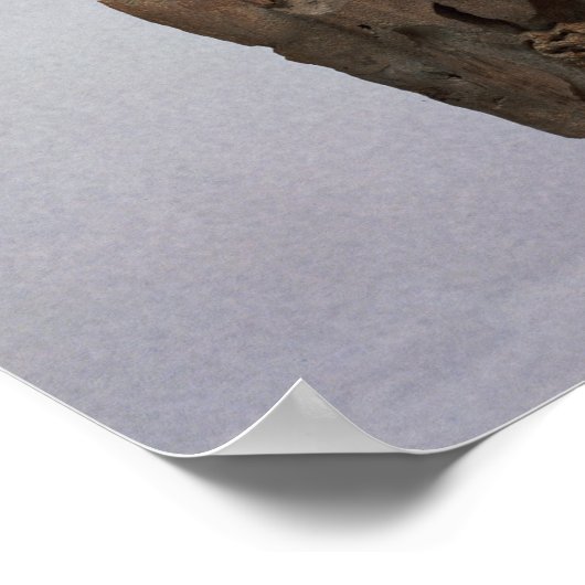 Anonymes Paar, bekannt als Memphis Couple (acac Poster (Ecke)