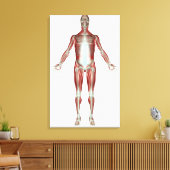 Anordnung aller Muskeln im menschlichen Körper Leinwanddruck (Insitu (Wohnzimmer))