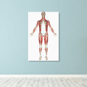 Anordnung aller Muskeln im menschlichen Körper Leinwanddruck (Insitu (Holzboden))