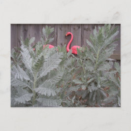 Anordnung in Grau und Rosa Postkarte