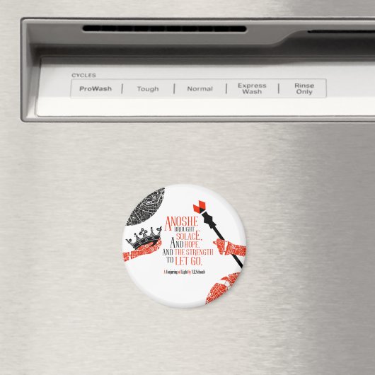 Anoshe Magnet (In Situ (Geschirrspüler))